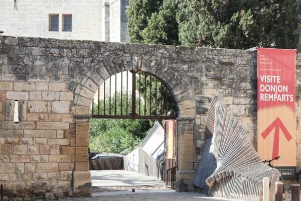 Visiter Aigues Mortes Choses Incontournables