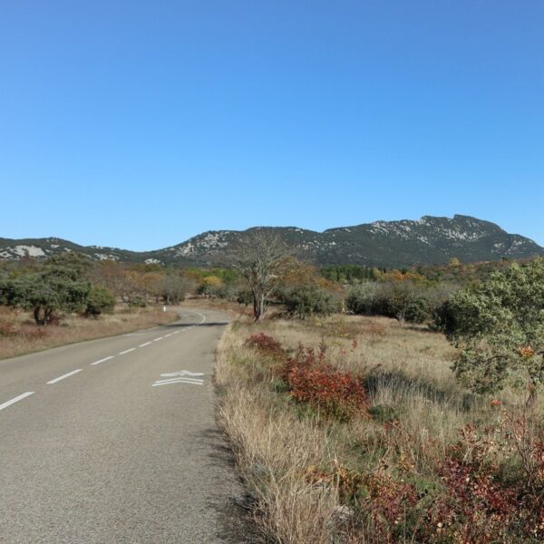 Randonnée au sommet du Pic Saint Loup 4 itinéraires