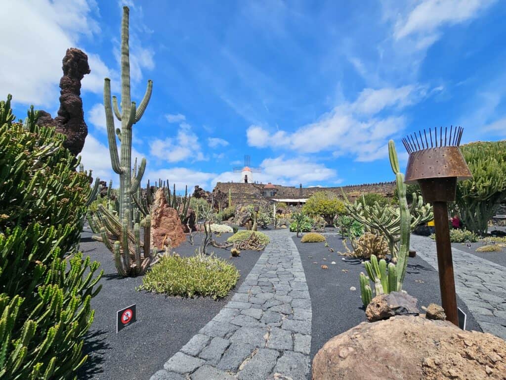 jardin de cactus à Lanzarote