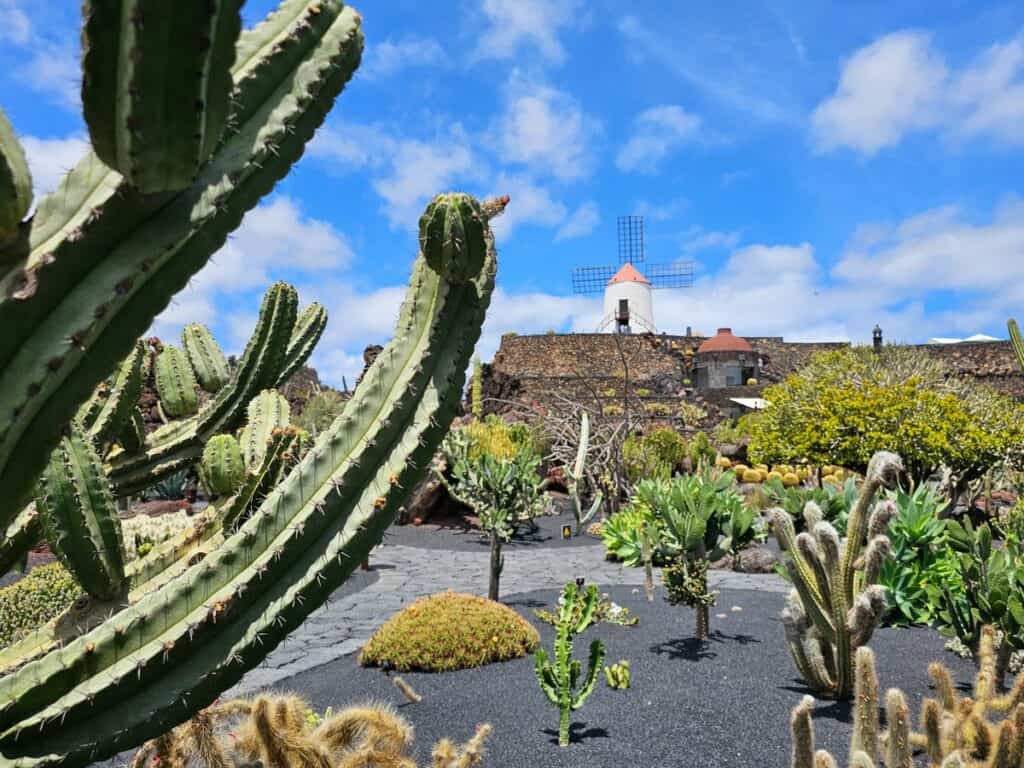 visiter le jardin de cactus à Lanzarote