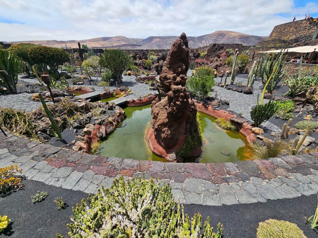 vue sur le jardin de cactus