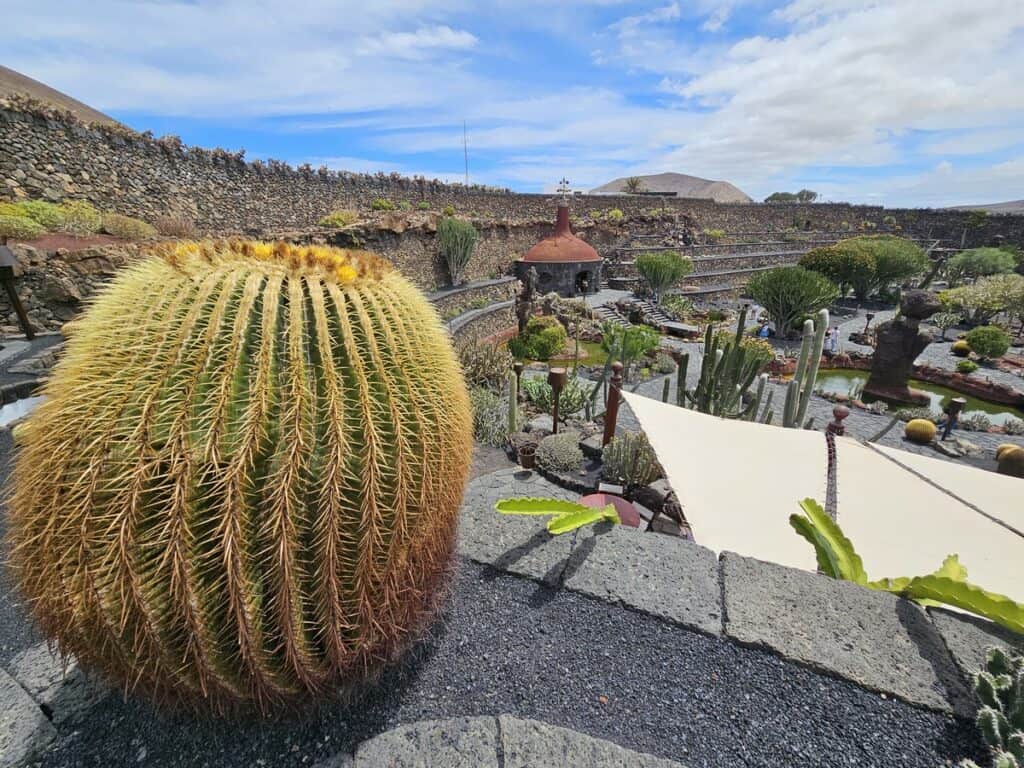 vue sur le jardin de cactus à Lanzarote