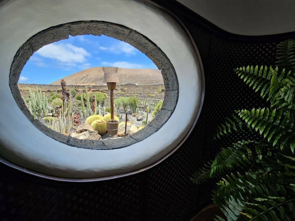 vue sur le jardin de cactus à travers une fenêtre