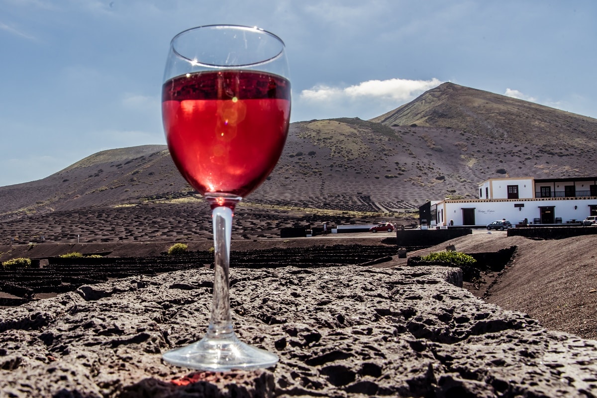 Les vins de Lanzarote