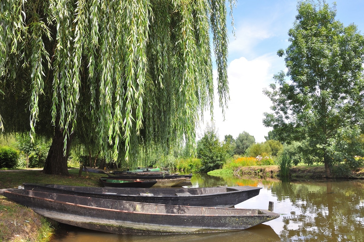 Week-end de luxe romantique en Vendée