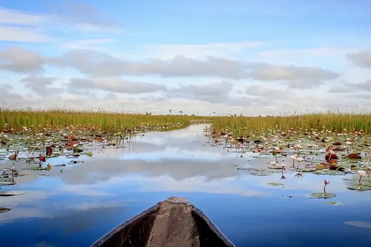 Delta de l'Okavango safari