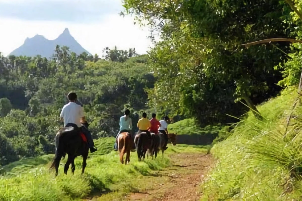 Vacances équitation sur l’île Maurice