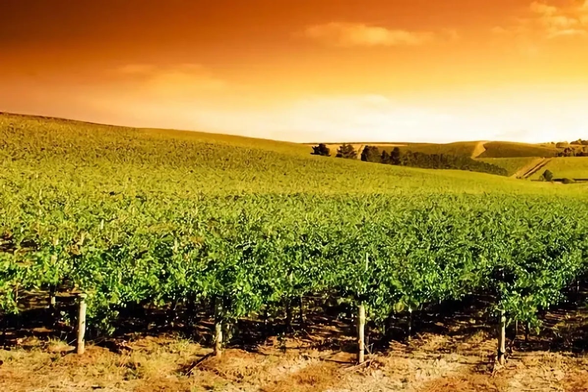 La route du vin dans le Comté du Prince-Édouard au Canada