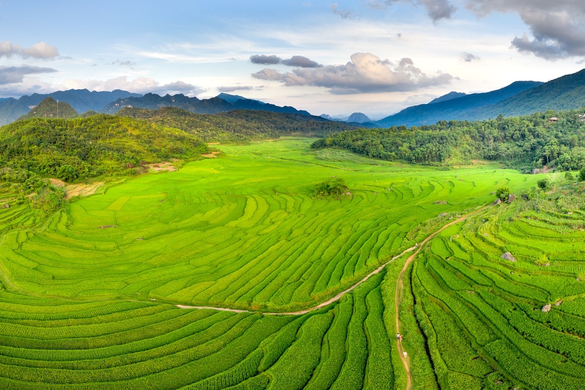 La réserve naturelle de Pu Luong au Vietnam