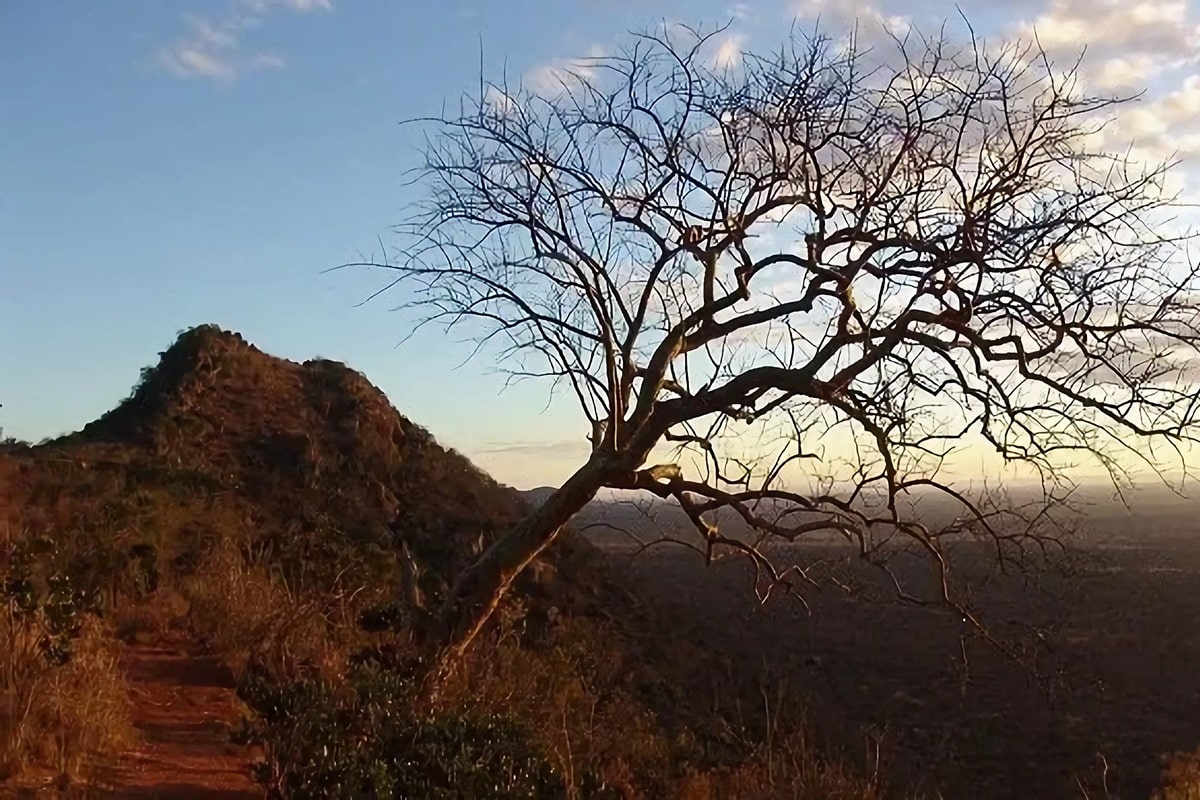 Les passe-temps à privilégier au Kenya