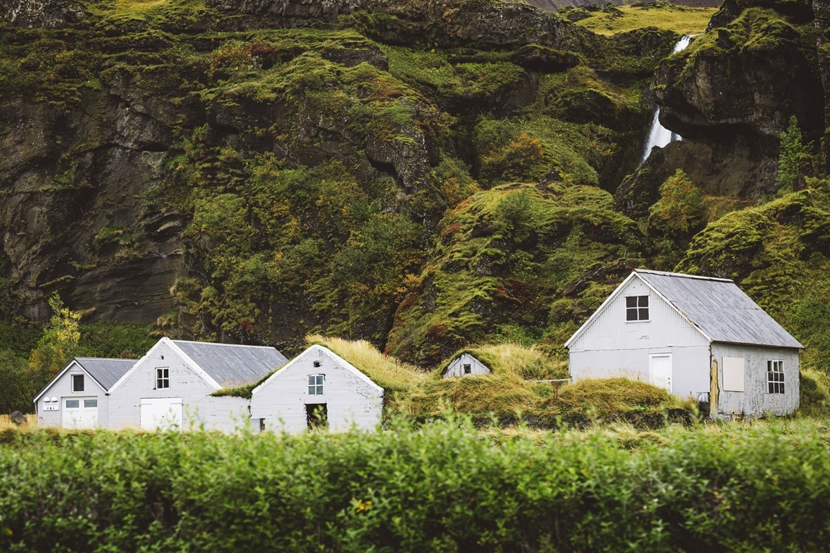 Immersion dans la culture islandaise