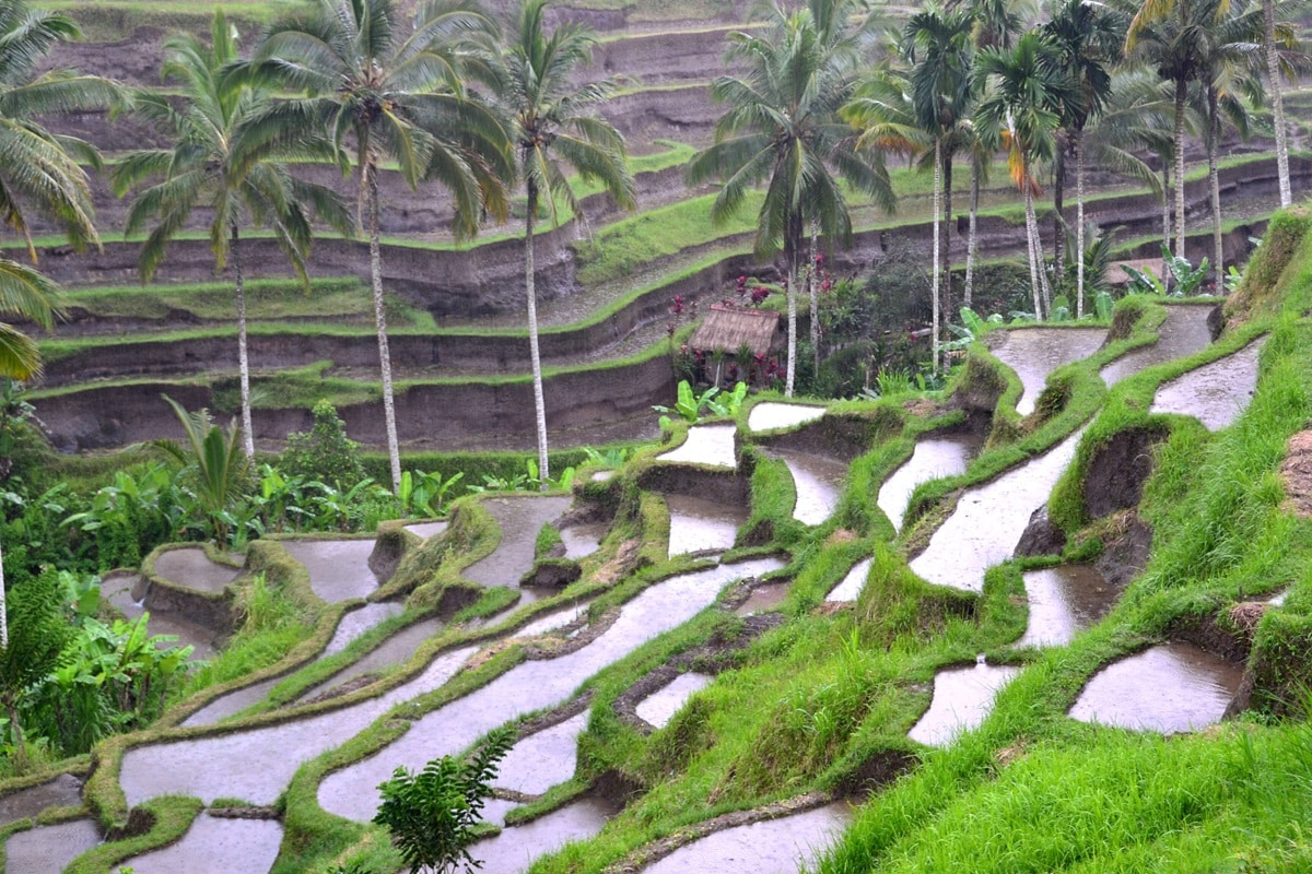 Bali, l’endroit à choisir pour les prochaines vacances