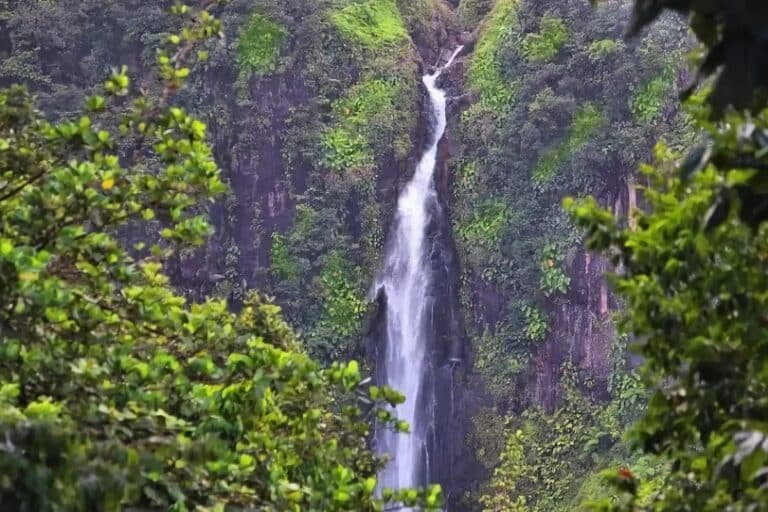 Les Chutes du Carbet