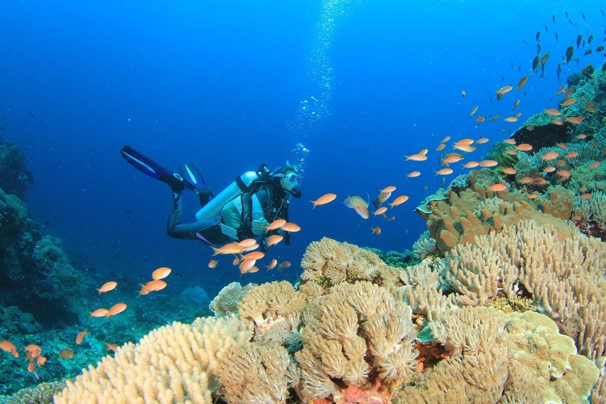 Où faire de la plongée à Bali