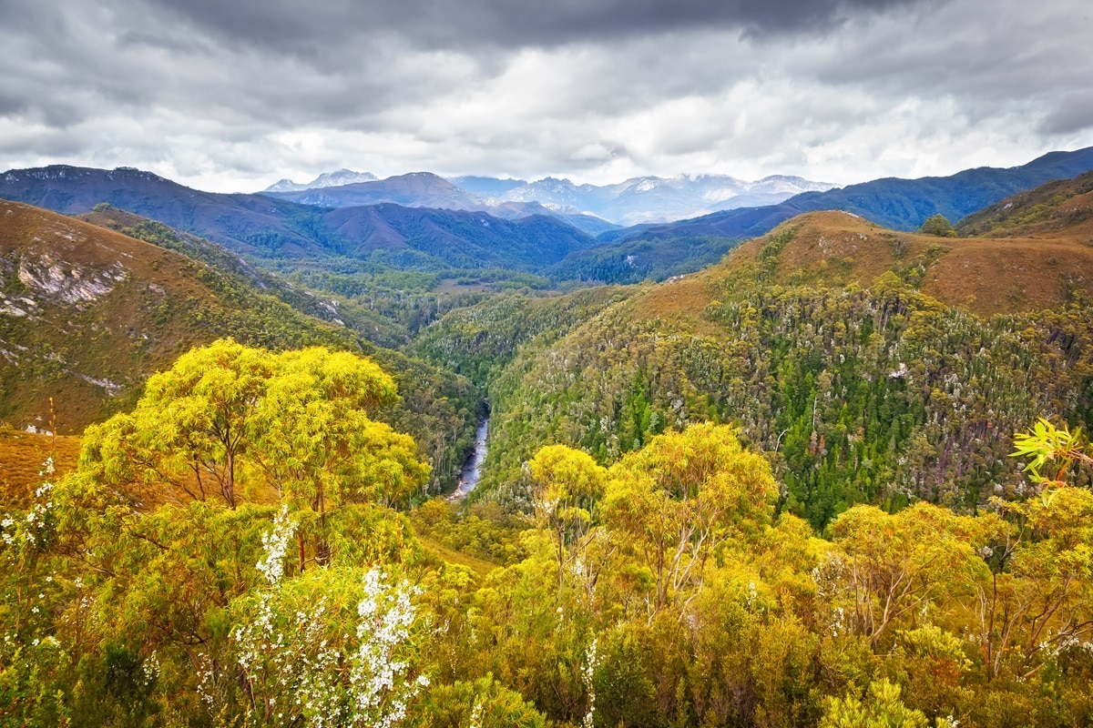 Parc national Franklin-Gordon Wild Rivers en Australie