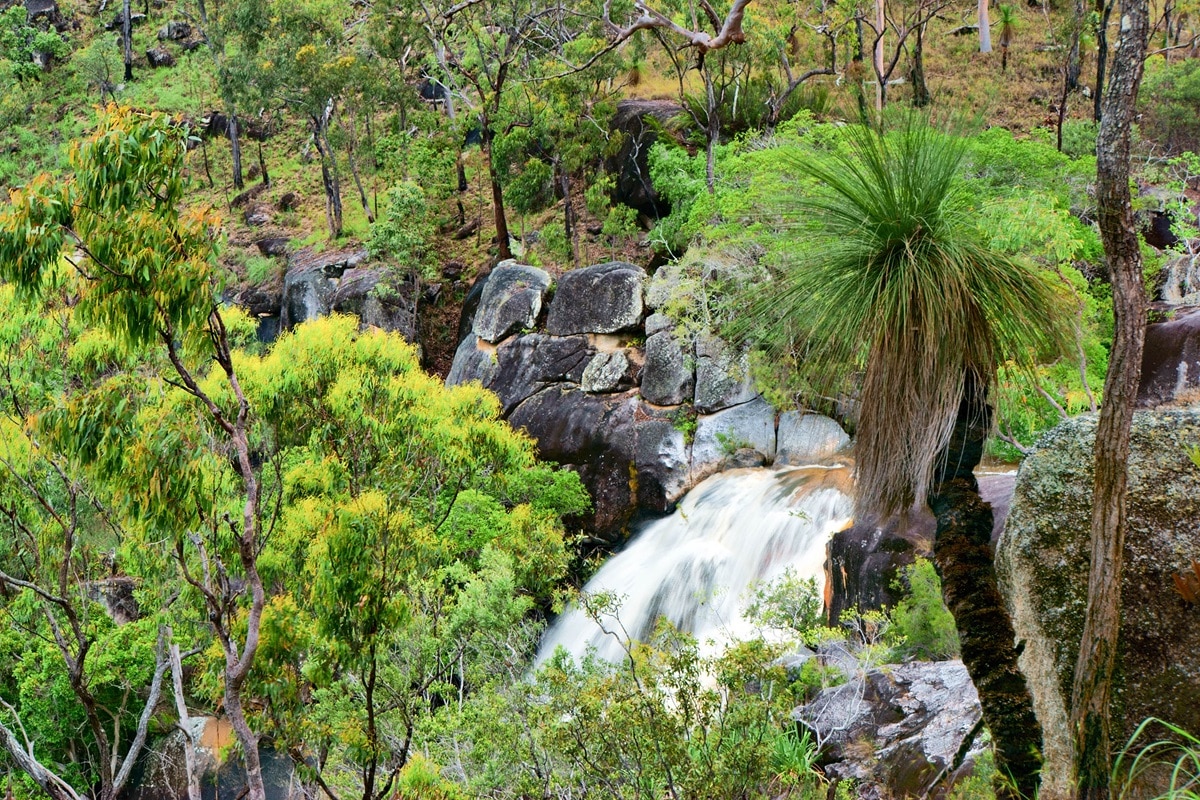 Plateau d’Atherton : les splendeurs naturelles d’Australie