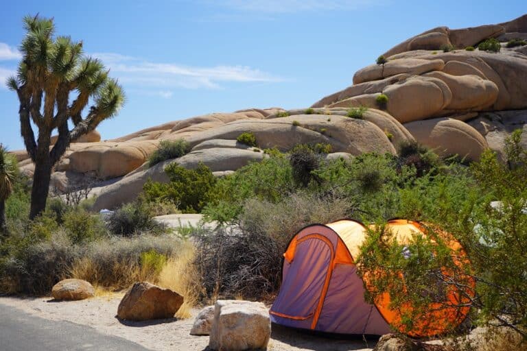 Parc National De Joshua Tree : Guide De Visite