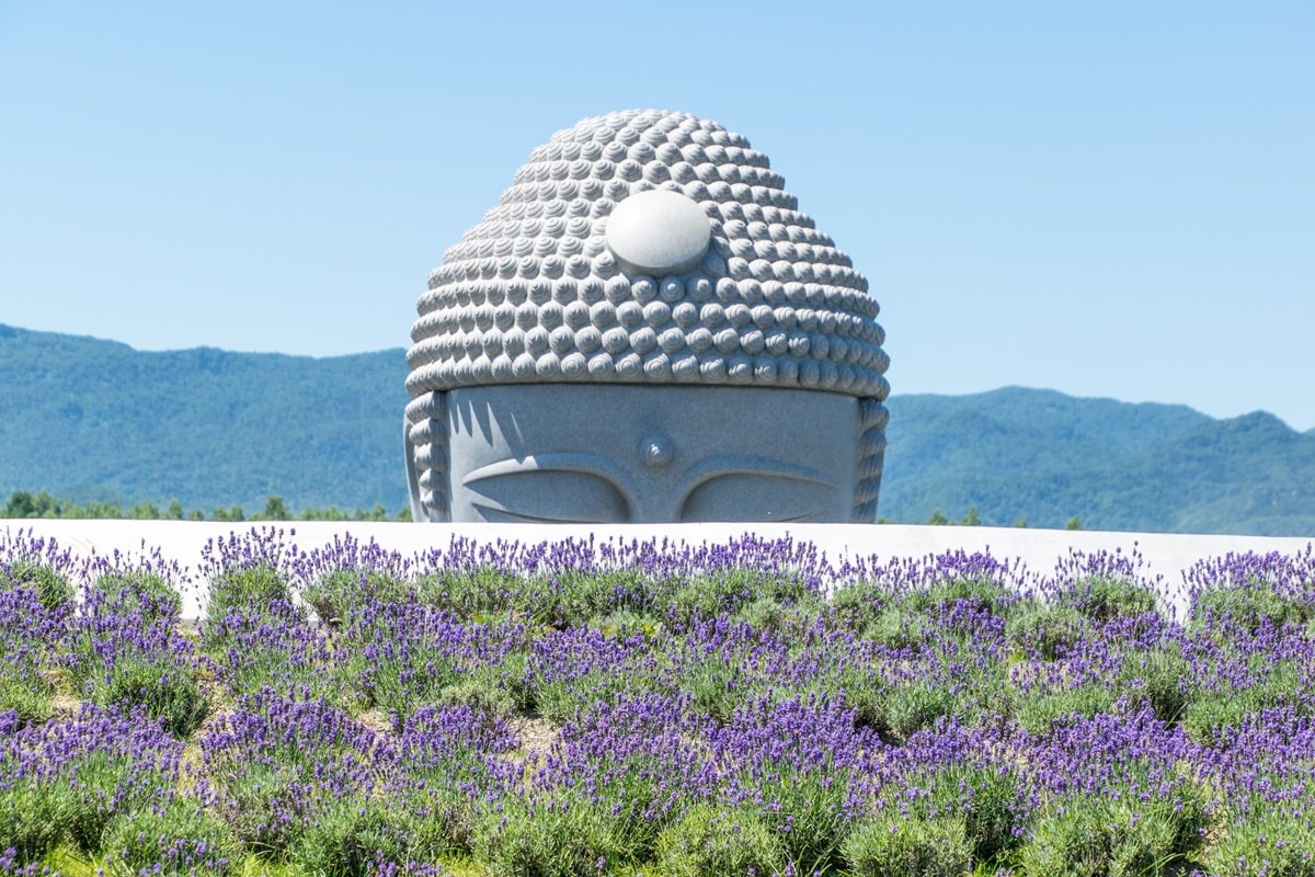 Une statue de Bouddha gigantesque émerge d’une colline au Japon