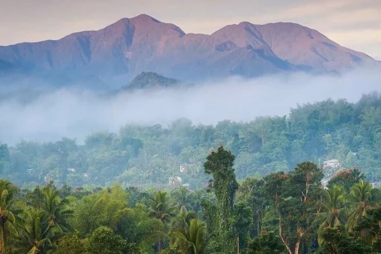 Les montagnes bleues de la Jamaïque