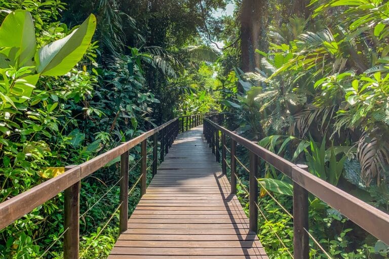 Parc national de Cahuita