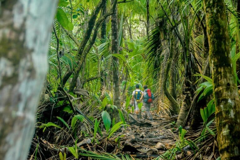 Parc national Corcovado randonnée