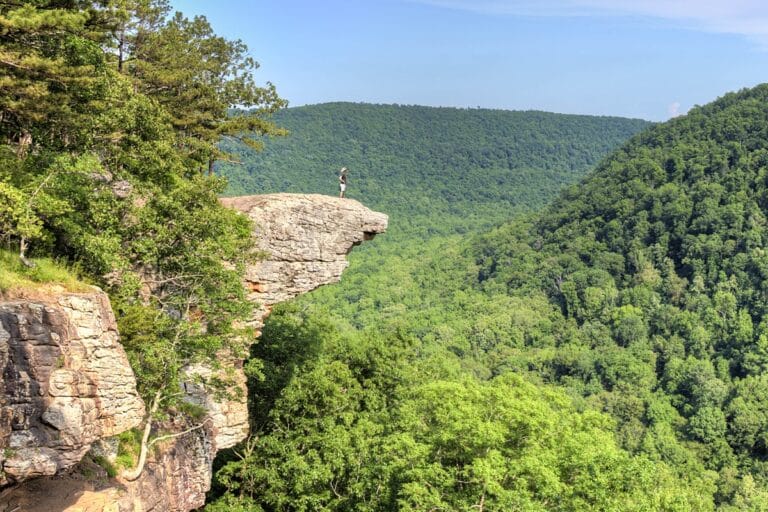 Whitaker Point