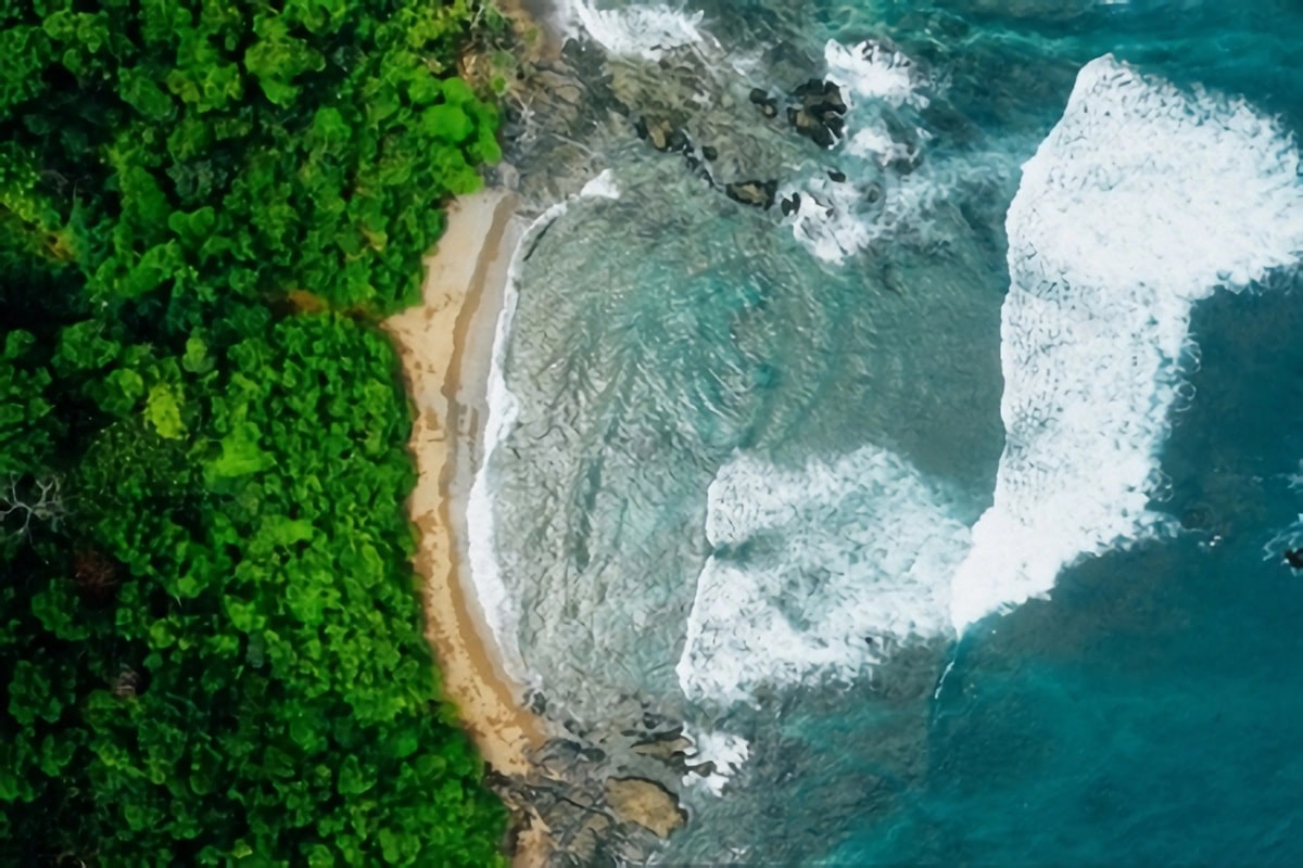 Isla del Cano : une réserve biologique exceptionnelle