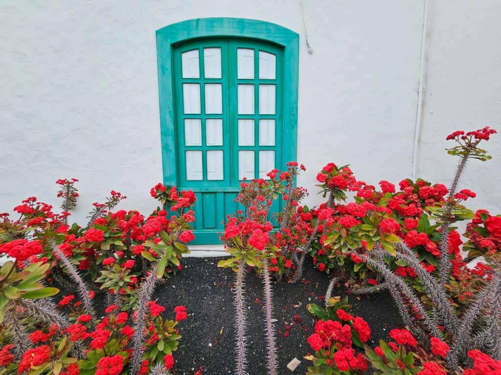 fenêtre verte lanzarote