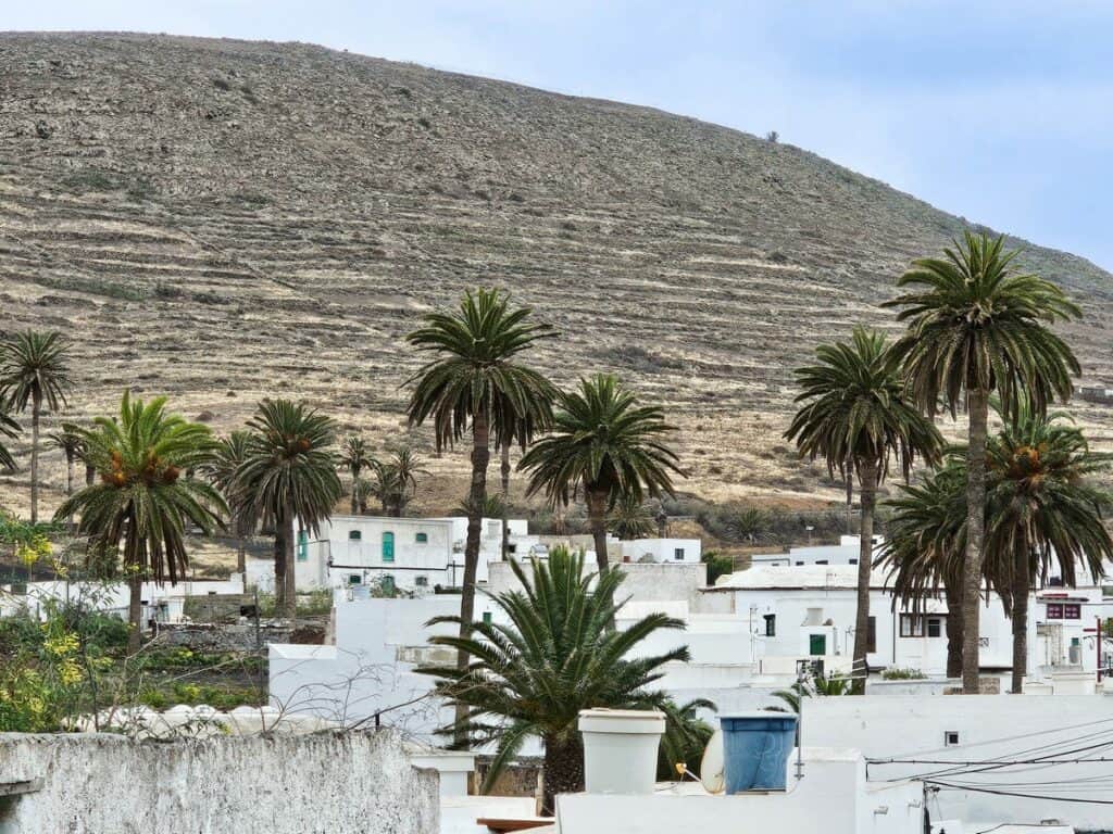 paysage de la vallée aux mille palmiers