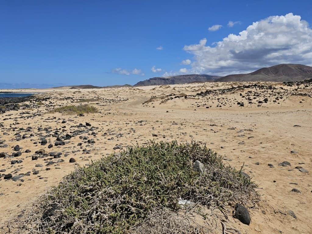 paysage et sable