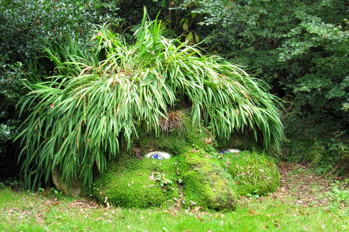 Les jardins perdus de Heligan