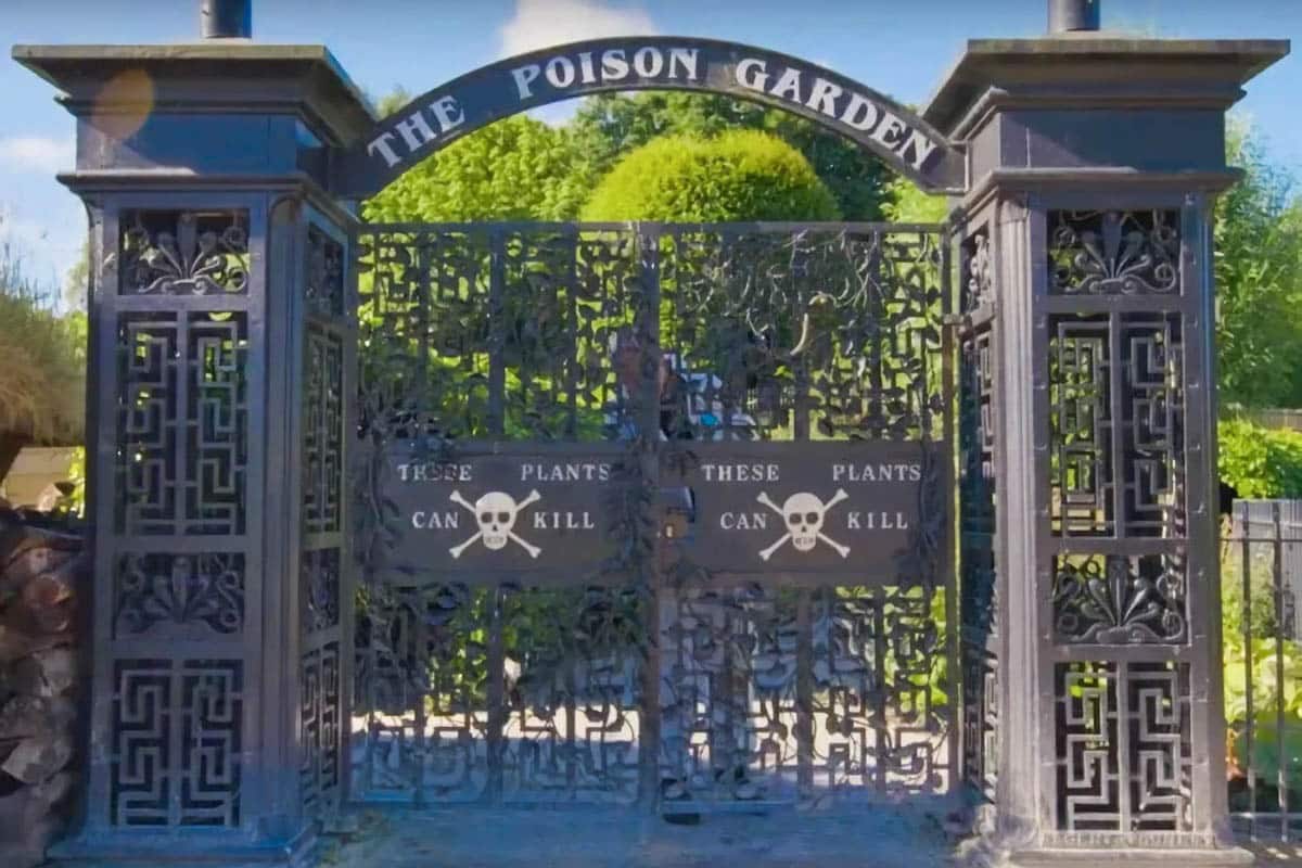 Jardin des poisons : entrez dans le jardin le plus dangereux du monde