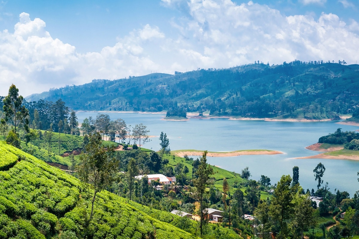 Que voir au Sri Lanka : les choses à ne pas manquer !