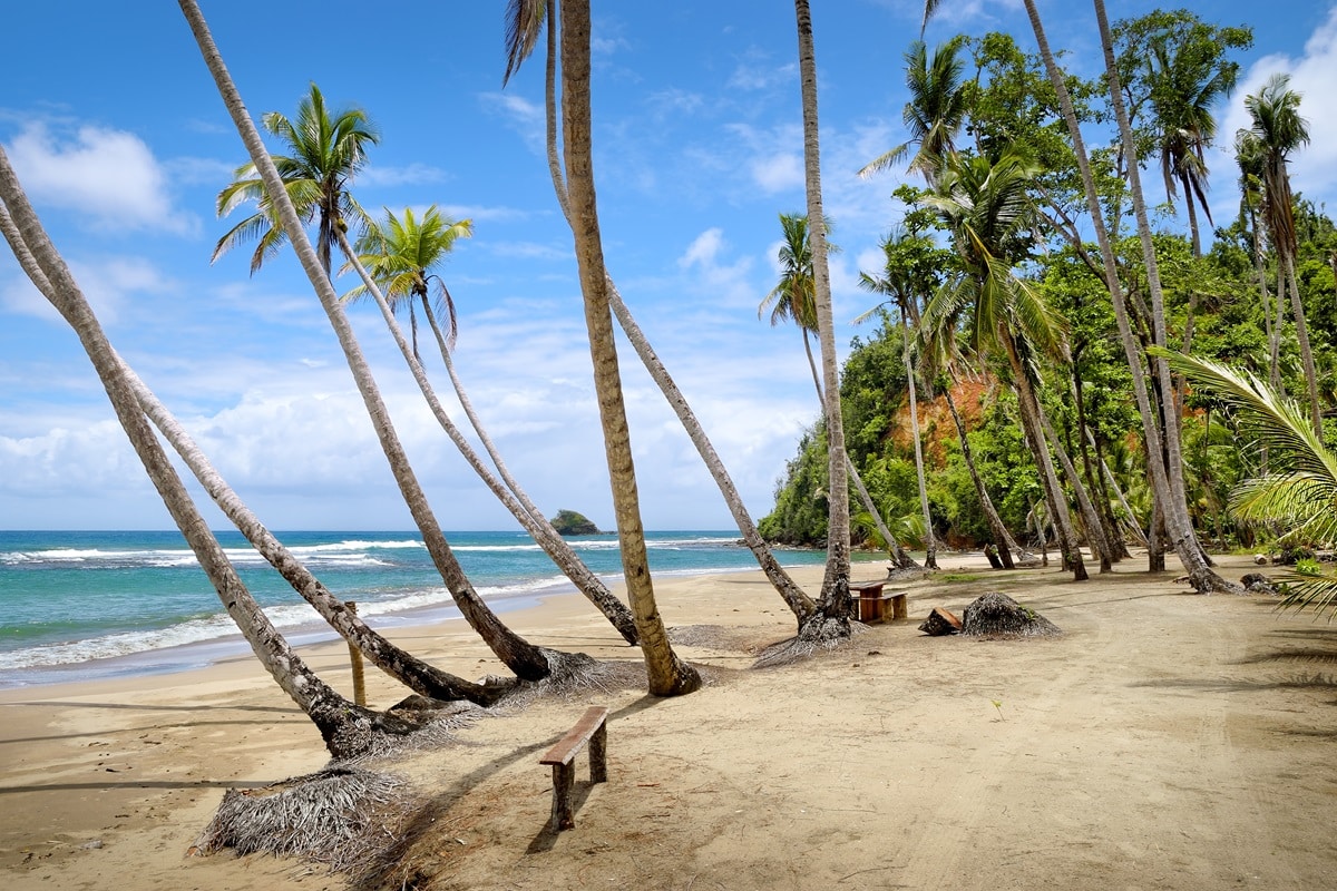 Les 10 plus belles plages de la Dominique