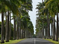 Les Meilleures Plages De Guadeloupe : Sur Les 5 îles De L'archipel