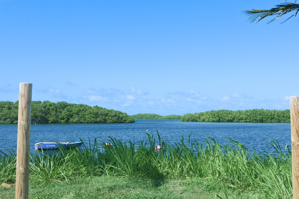 Que faire à Sainte-Rose en Guadeloupe