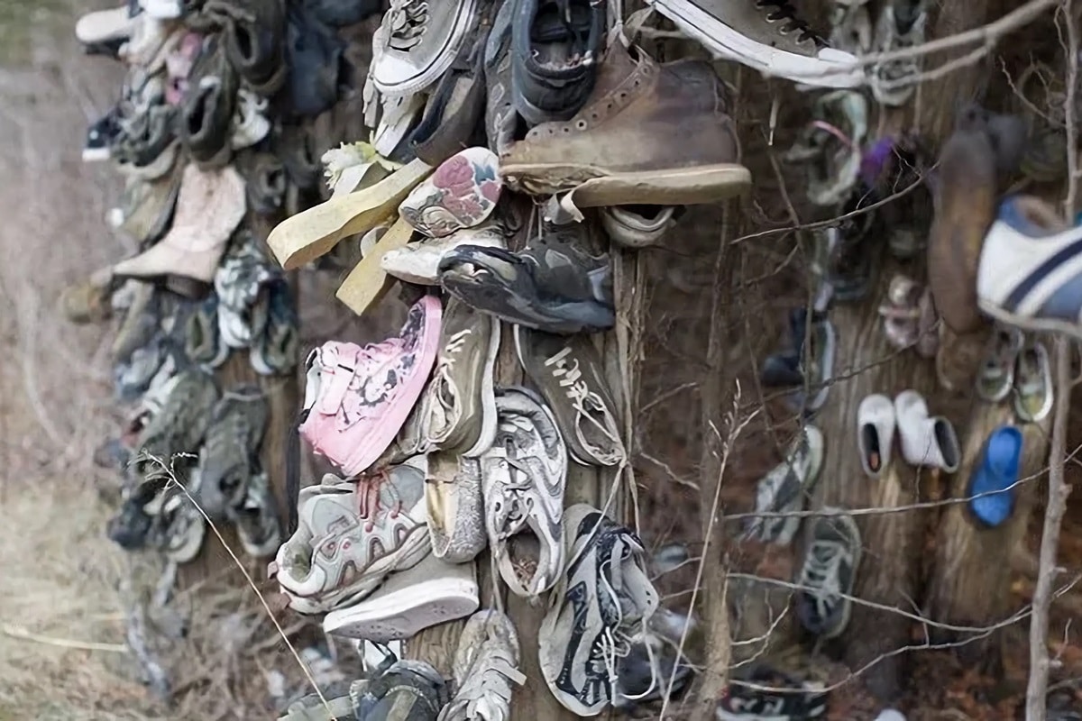 Une mystérieuse forêt remplie de chaussures