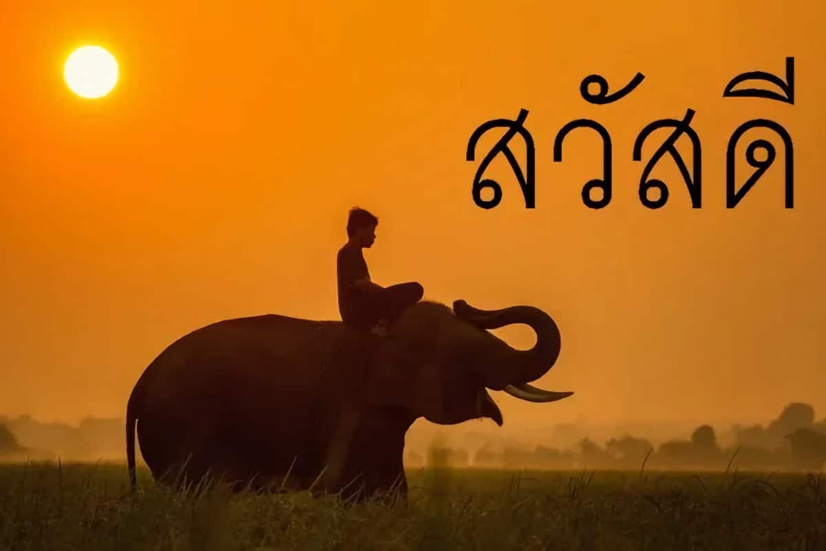 Mots thaïlandais : expressions essentielles pour les voyageurs