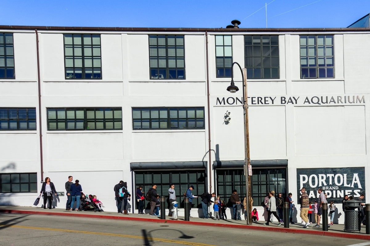 Aquarium de la baie de Monterey : informations et conseils de visite