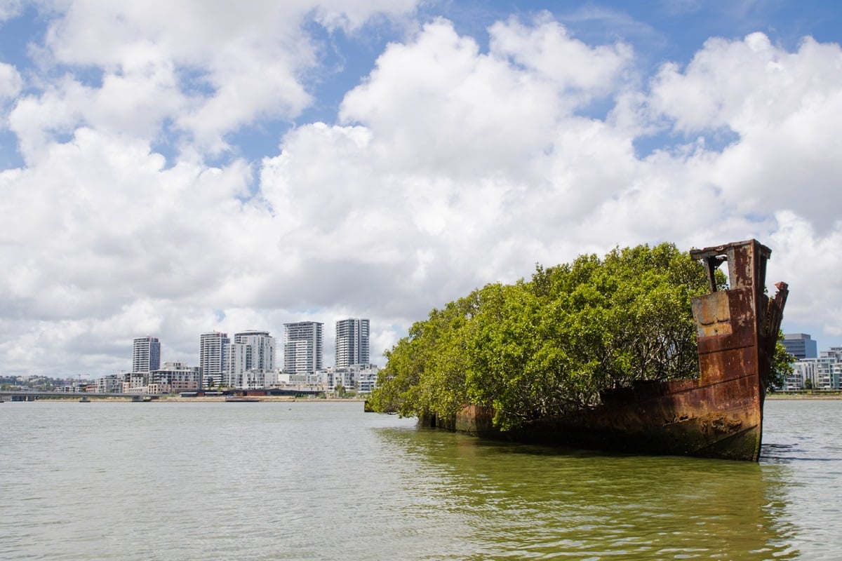 foret flottante homebush bay