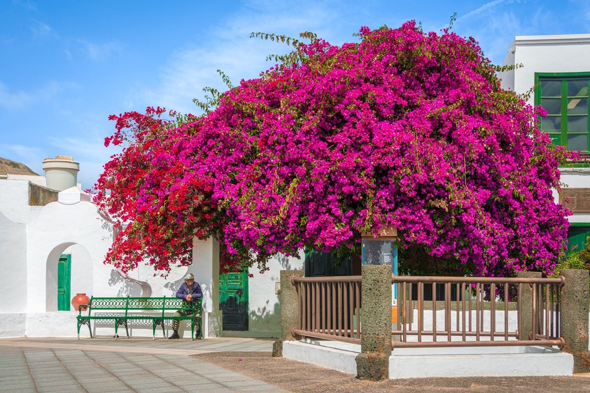 Lanzarote en mai : météo, température, soleil et conseils