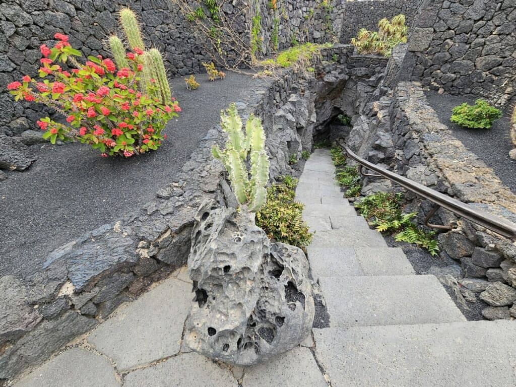 escalier en pierre et cactus