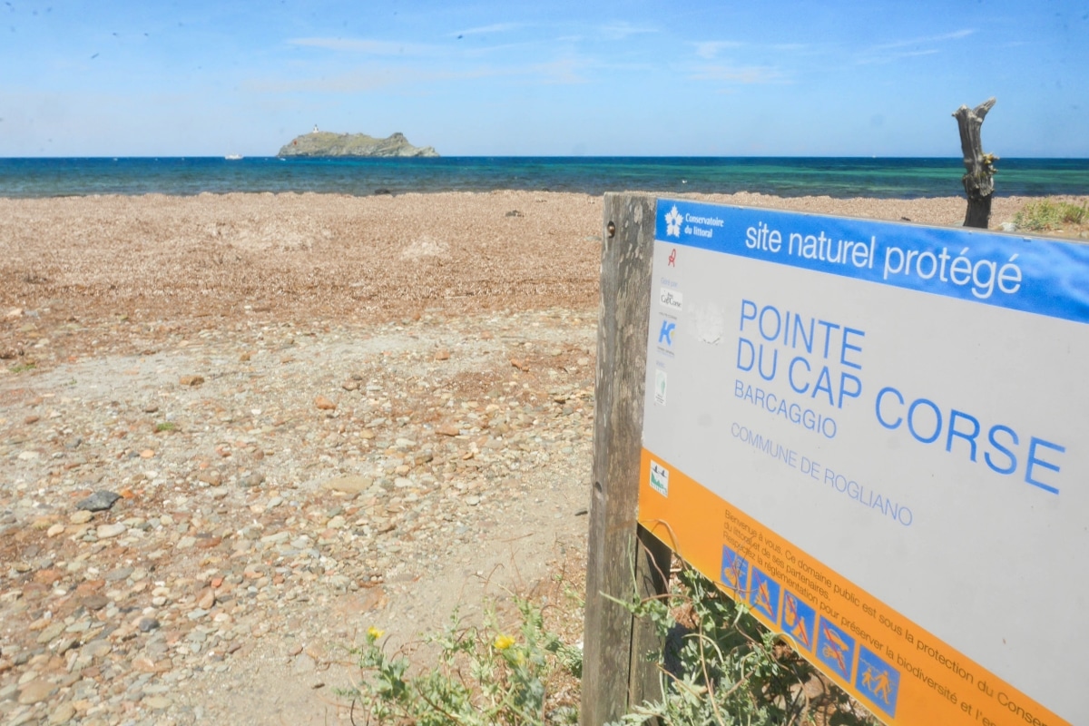 La pointe du Cap Corse : points de vue, baignade, balade et snorkeling