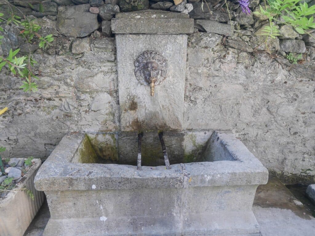 fontaine lion