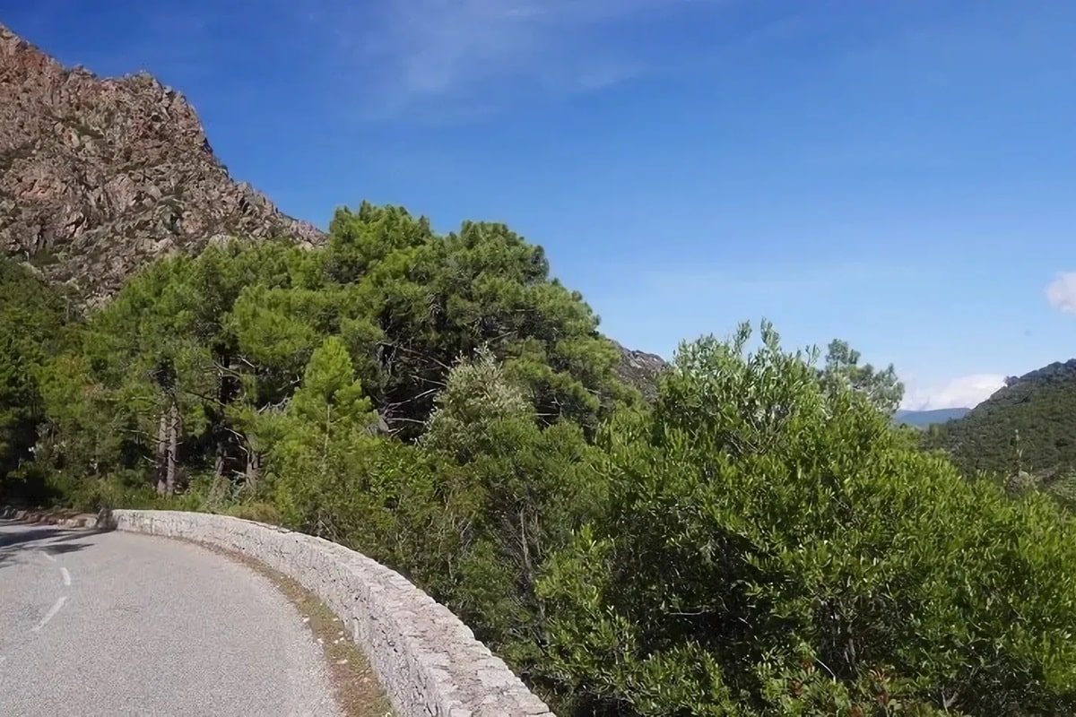 La route D84 : de Francardo à Calacuccia