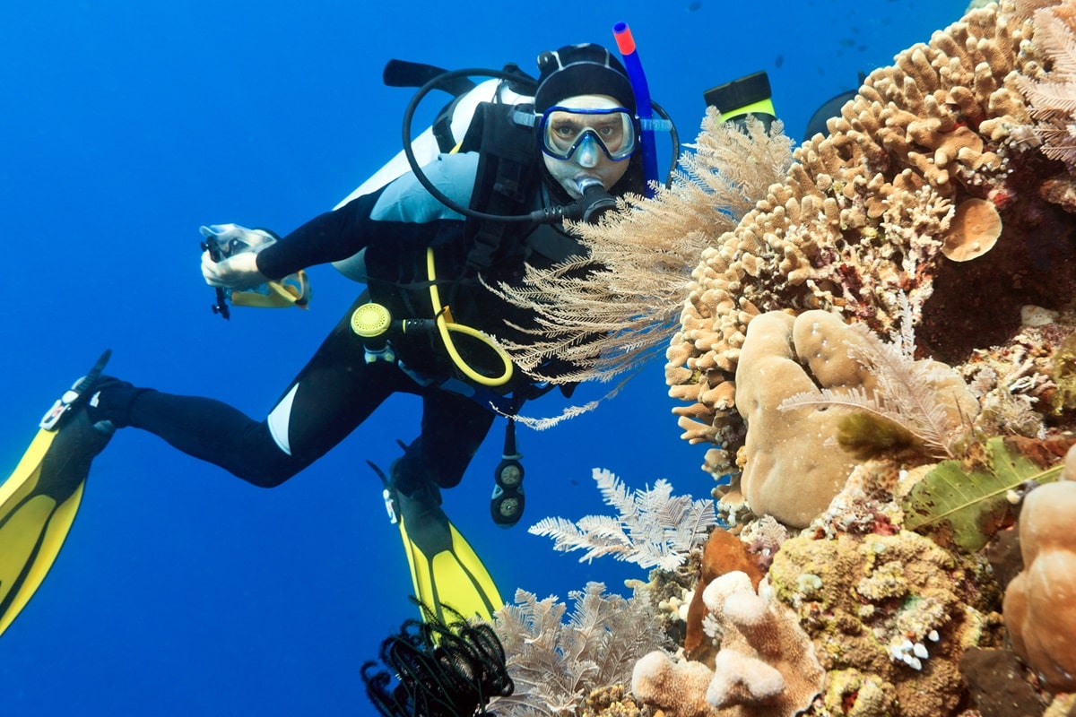 Meilleurs sites de plongée dans les Caraïbes : 12 spots incroyables