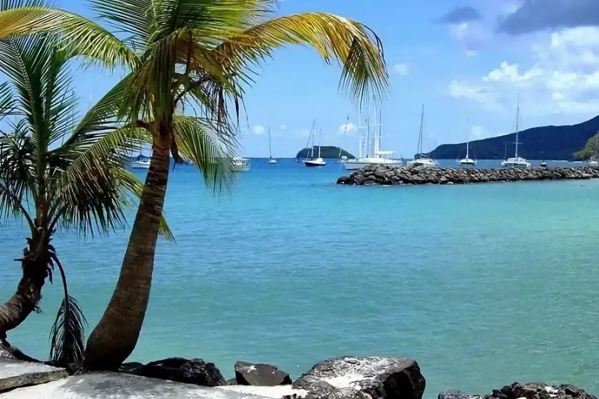 Découverte de la Martinique et de ses trésors