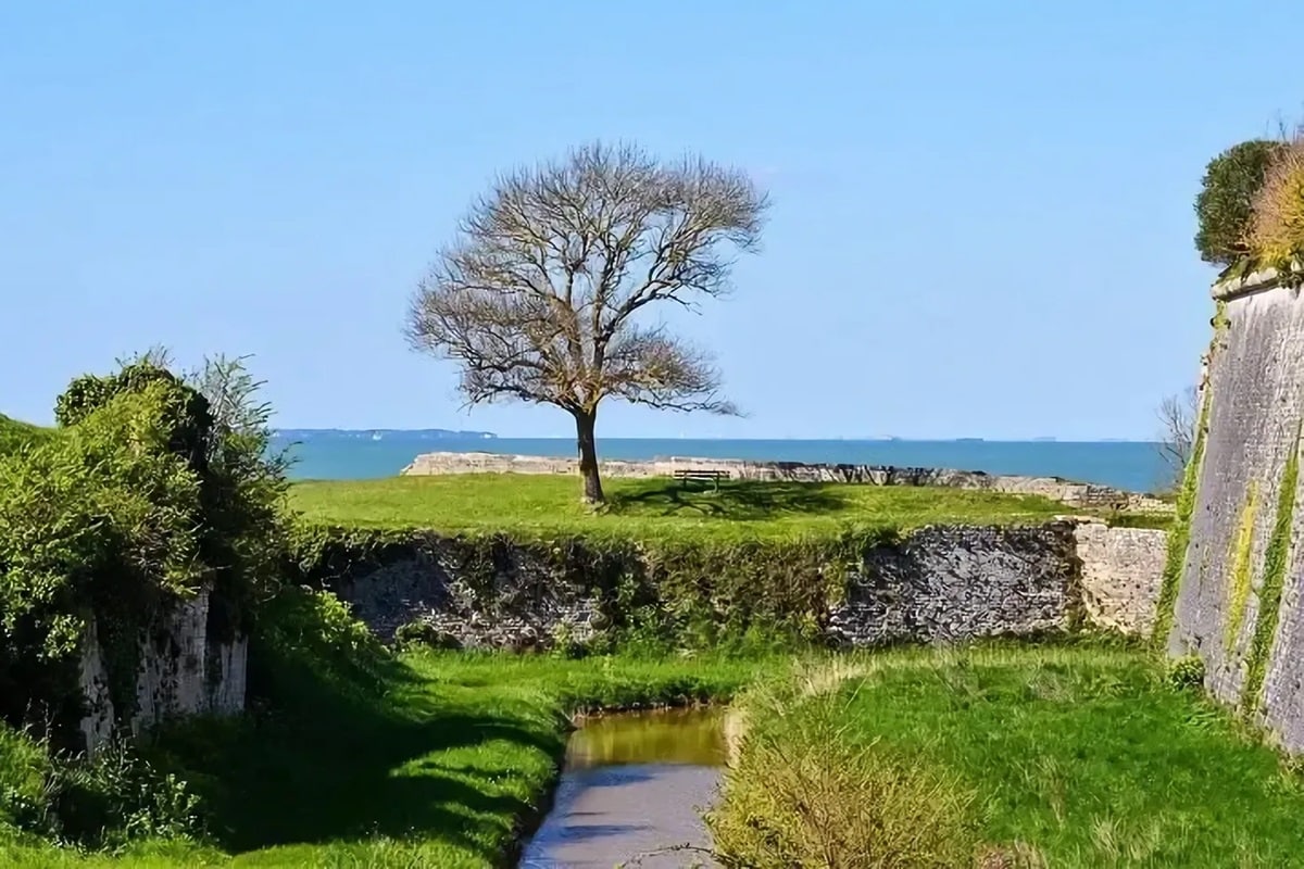 vacances au cœur de la nature sur l'île d'Oléron