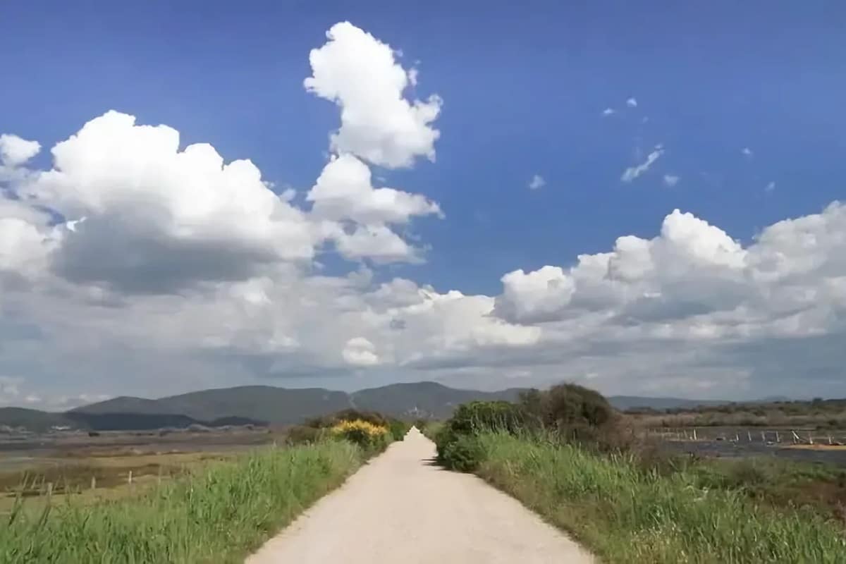 Parc naturel de la Maremme : informations, conseils, itinéraires, etc