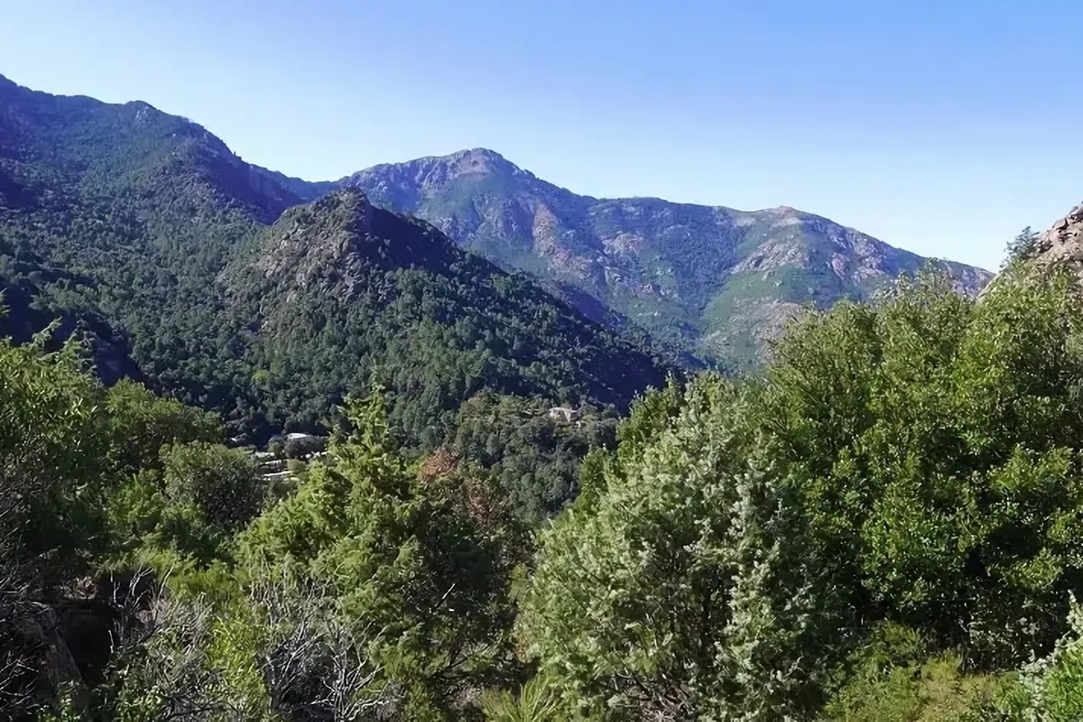 Forêt de Bonifato : randonnées, rivière et baignade